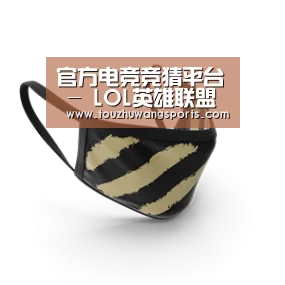 成人布口罩