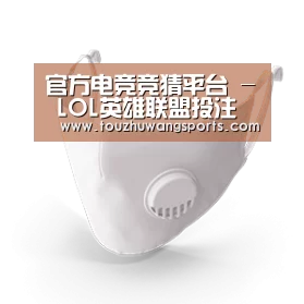N95 口罩