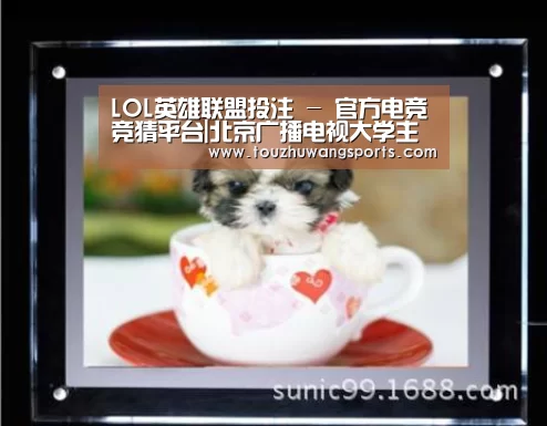LOL英雄联盟投注 - 官方电竞竞猜平台|北京广播电视大学主办两岸远程教育论坛(图2) 电竞直播