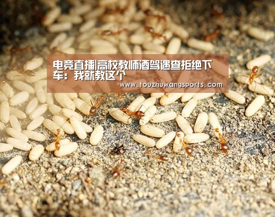 电竞直播|高校教师酒驾遇查拒绝下车:我就教这个(图3) LOL英雄联盟投注 - 官方电竞竞猜平台官网
